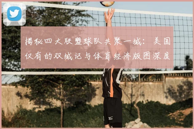 揭秘四大联盟球队共聚一城：美国仅有的双城记与体育经济版图深度解析