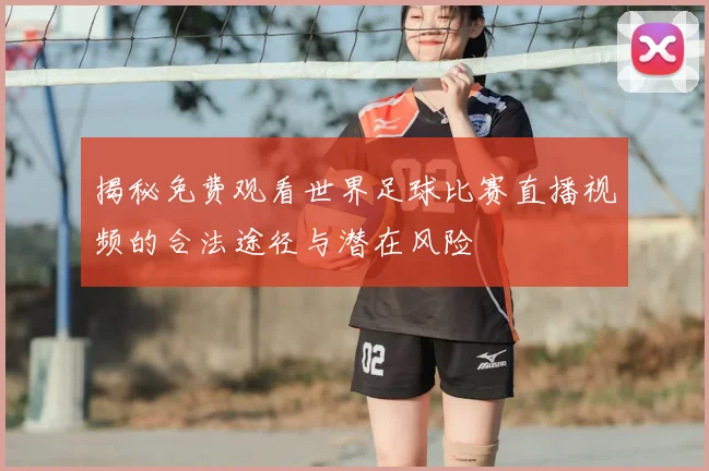 揭秘免费观看世界足球比赛直播视频的合法途径与潜在风险