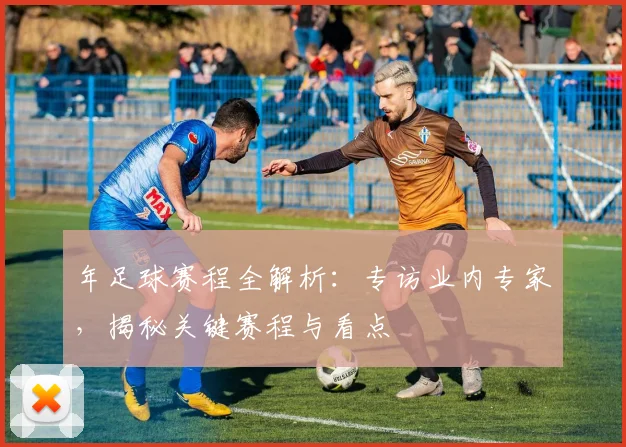 年足球赛程全解析:专访业内专家,揭秘关键赛程与看点